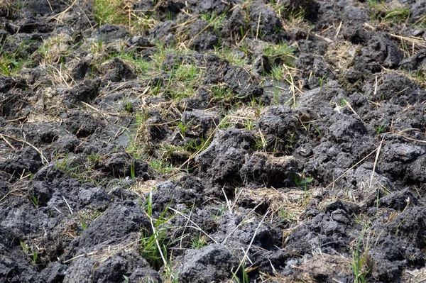 Закрыть Текстуру Сухой Почвы — стоковое фото