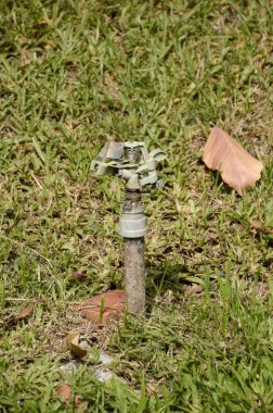 doğa bahçesinde yeşil çim üzerinde fıskiye yakın