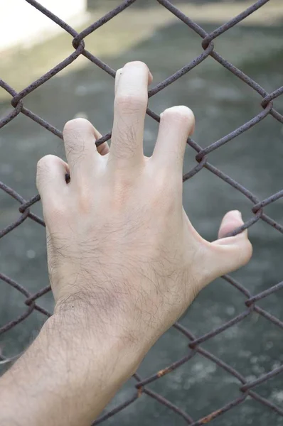 Mão Com Cerca Metal Sem Liberdade — Fotografia de Stock