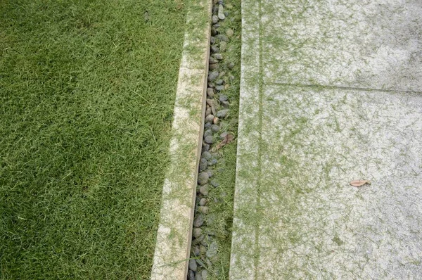 セメントの床に草の葉 — ストック写真