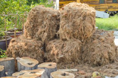 bahçede kuru saman kadar yakın