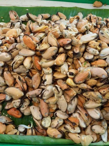 Kerang Hijau Asia Dari Thailand — Stok Foto