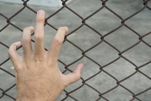 Mão Com Cerca Metal Sem Liberdade — Fotografia de Stock