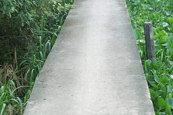 Cement Plate Walkway Country Thailand — Stock Photo, Image