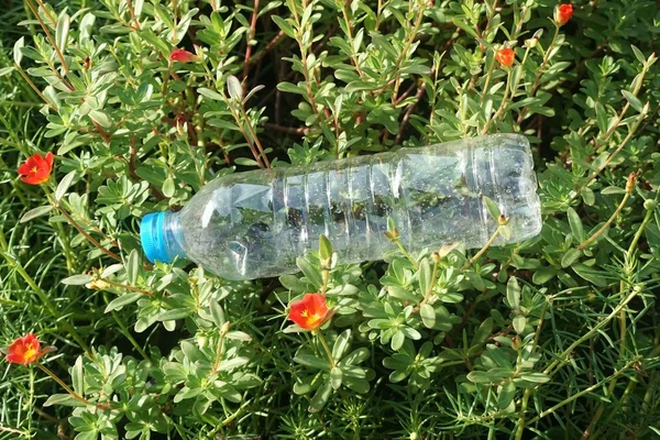 关闭花厂塑料瓶 — 图库照片