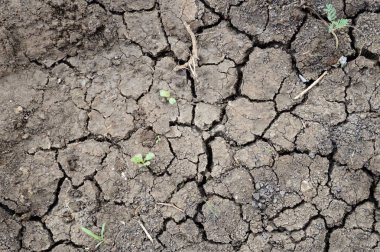 kuru çatlamış toprak dokusu arka planı