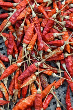 kuru kırmızı biber doku