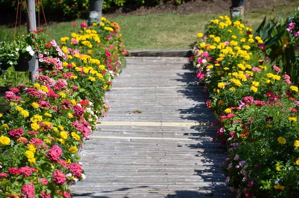 Цветочный Сад Дорожке Таиланде Chachoengsao — стоковое фото