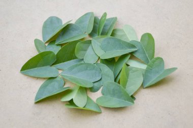 yeşil kalp, ahşap zeminde