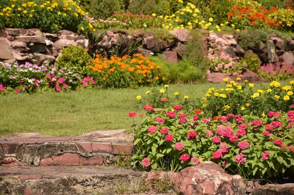 Schöne Blume Naturgarten — Stockfoto