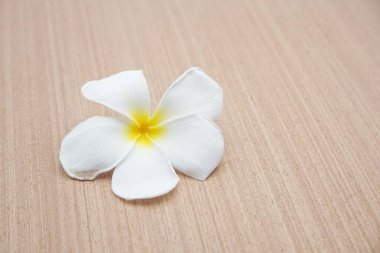 Plumeria çiçek ahşap zemin üzerinde