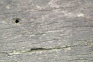 Kırık ahşap dokuyu kapatın.