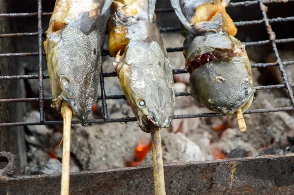 Yakından yayın balığı mangal kömürüyle kızartılır.