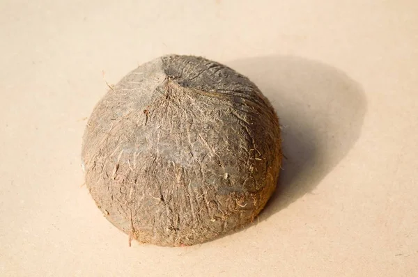 바닥에 코코넛 — 스톡 사진