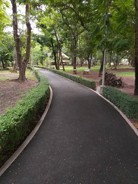 Près Passerelle Dans Jardin Naturel — Photo