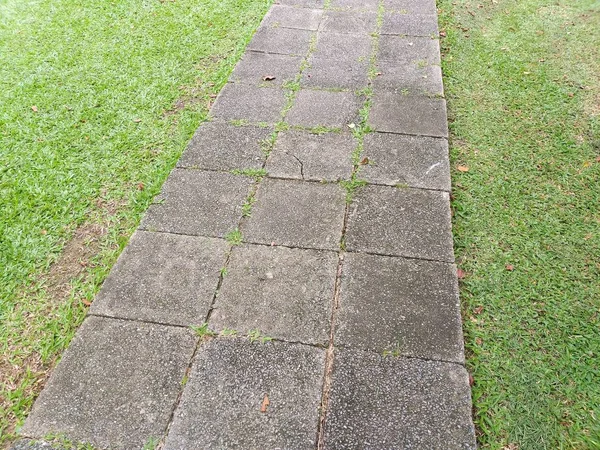 Cement Plate Green Grass Nature Garden — Stock Photo, Image