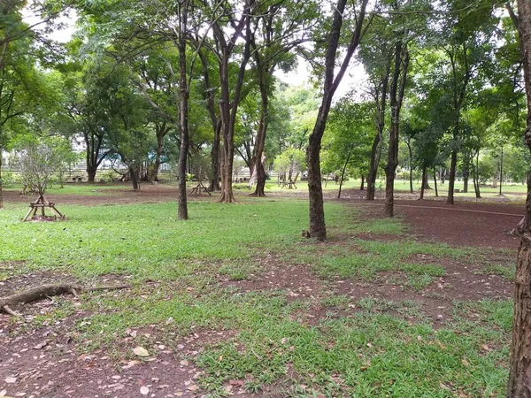 Groene Tuin Het Land Thailand — Stockfoto