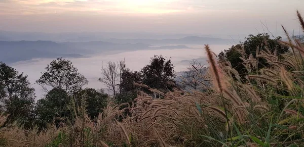 Kuzey Tayland Büyük Dağ — Stok fotoğraf