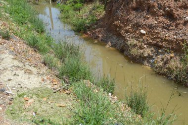 Tayland küçük kanal