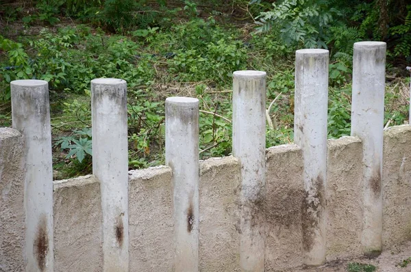 Doğa Bahçesinde Çimento Direği — Stok fotoğraf