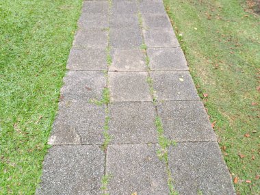 Doğa bahçesinde çimento tabağı