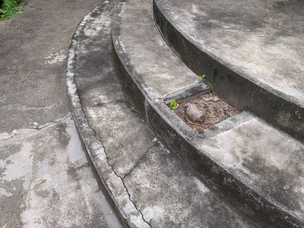 close up cement stair in nature garden