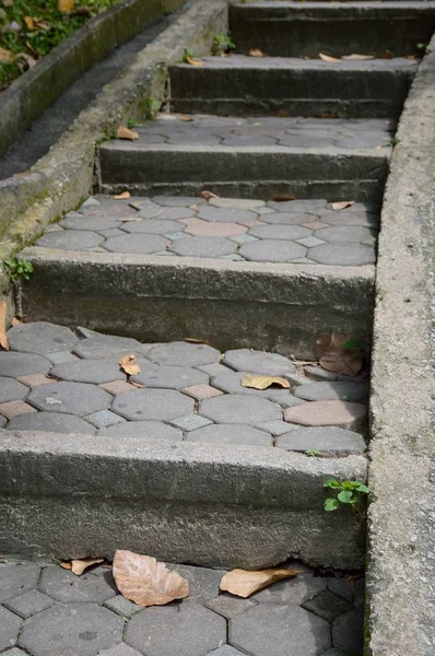 Cerrar Escalera Cemento Jardín —  Fotos de Stock