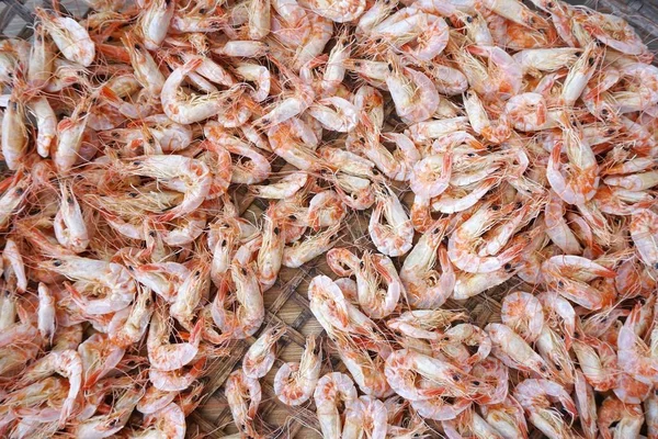 Close Small Dried Shrimp Cooking — Stock Photo, Image