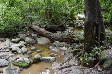 Bang Phra, Sriracha, Chonburi, Tayland'da chantathen şelale dere