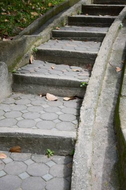 doğa bahçesinde çimento merdiven yakın