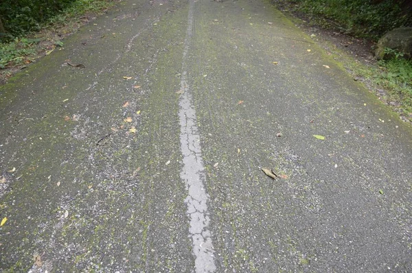 Asphaltstraßentextur Aus Der Nähe — Stockfoto