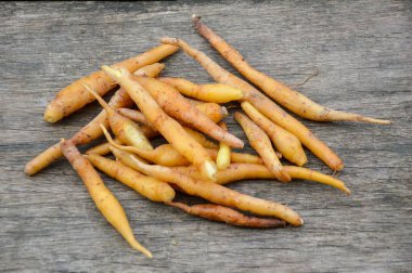 ahşap tahta üzerinde taze fingerroot