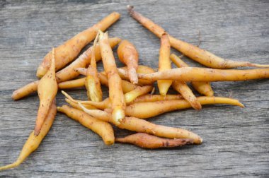 ahşap tahta üzerinde taze fingerroot