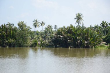 Chachoengsao Tayland 'daki Bangprakong Nehri