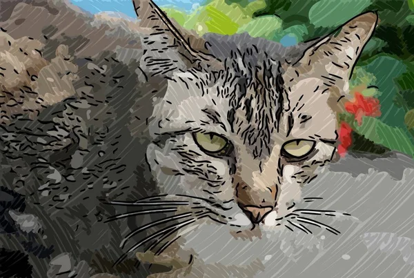 Sztuka Kolor Ładny Kot — Zdjęcie stockowe
