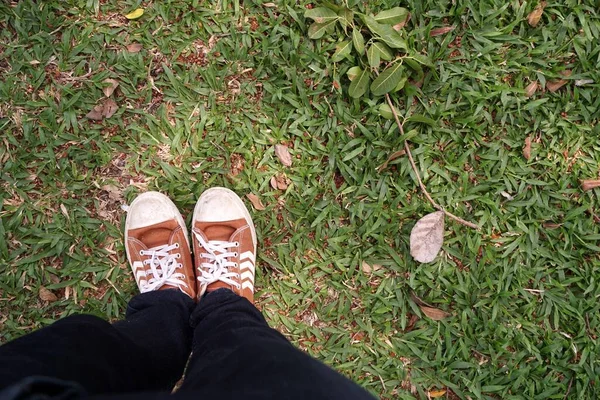 Fermer Les Chaussures Sur Herbe Verte — Photo