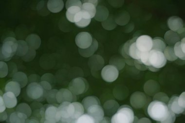 güzel doğa bokeh desen arkaplanı