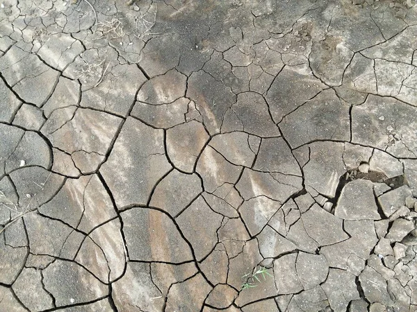 Dry Cracked Soil Texture Background — Stock Photo, Image