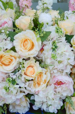 Kapatın güzel gül çiçeklerini