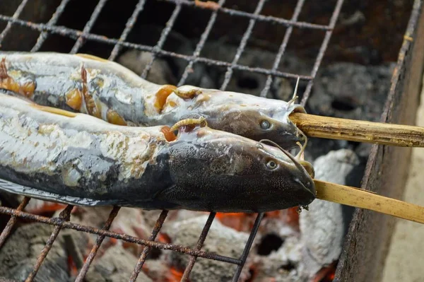 Primo Piano Pesce Gatto Sono Alla Griglia Con Carbone — Foto Stock