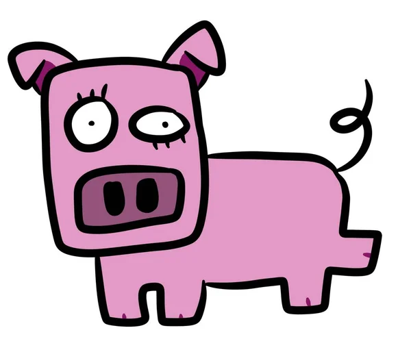 Cartoon Pig Fundo Branco — Fotografia de Stock