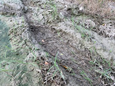 Yerdeki kuru tekerlek yolunu kapatın.