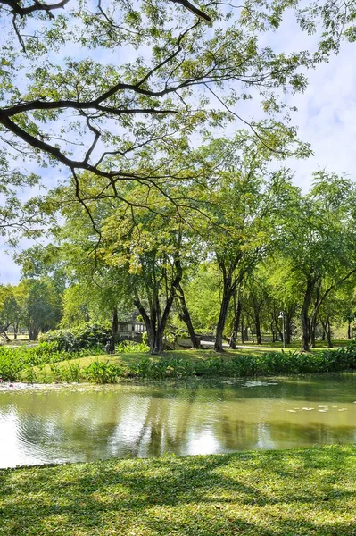 Green Garden Country Thailand — Stock Photo, Image