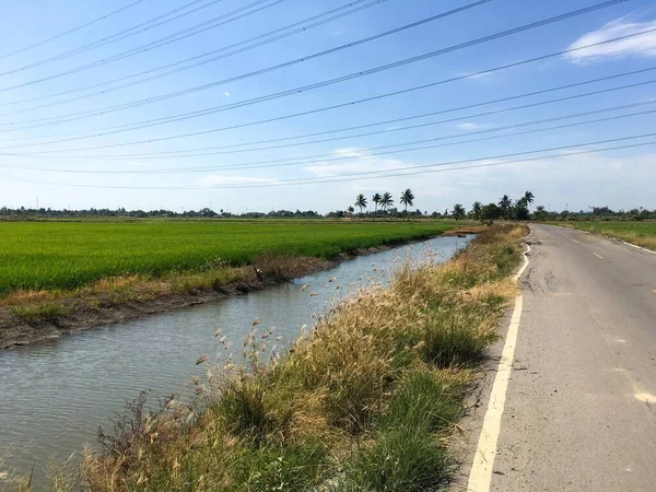 Небольшой Канал Стране Chachoengsao Таиланде — стоковое фото