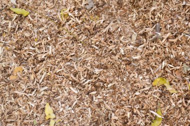 Kuru talaş dokusunu kapat