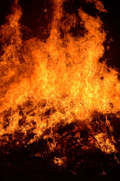 Cerca Fuego Caliente Ardiendo Jardín Nocturno —  Fotos de Stock