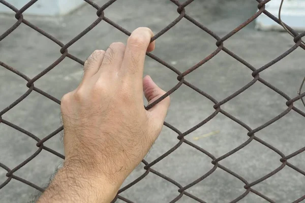 金属製の柵で手をつなぎ自由もなく — ストック写真