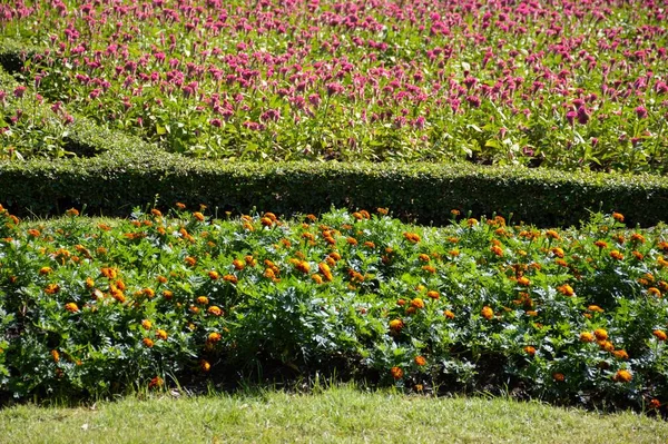 Krásná Zahrada Zemi Thajsko — Stock fotografie