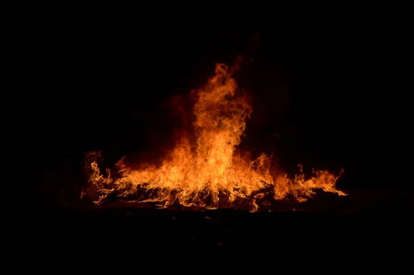 夜の庭で燃える火 — ストック写真