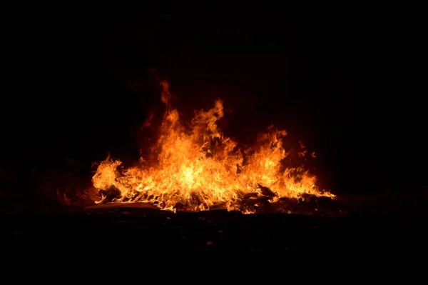 Огонь Ночном Саду — стоковое фото